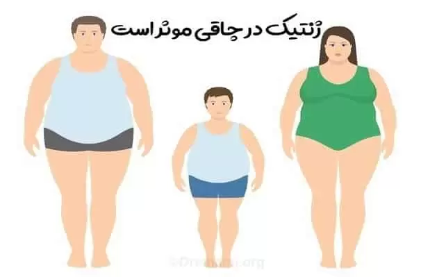 ژنتیک در بروز چاقی نقش دارد