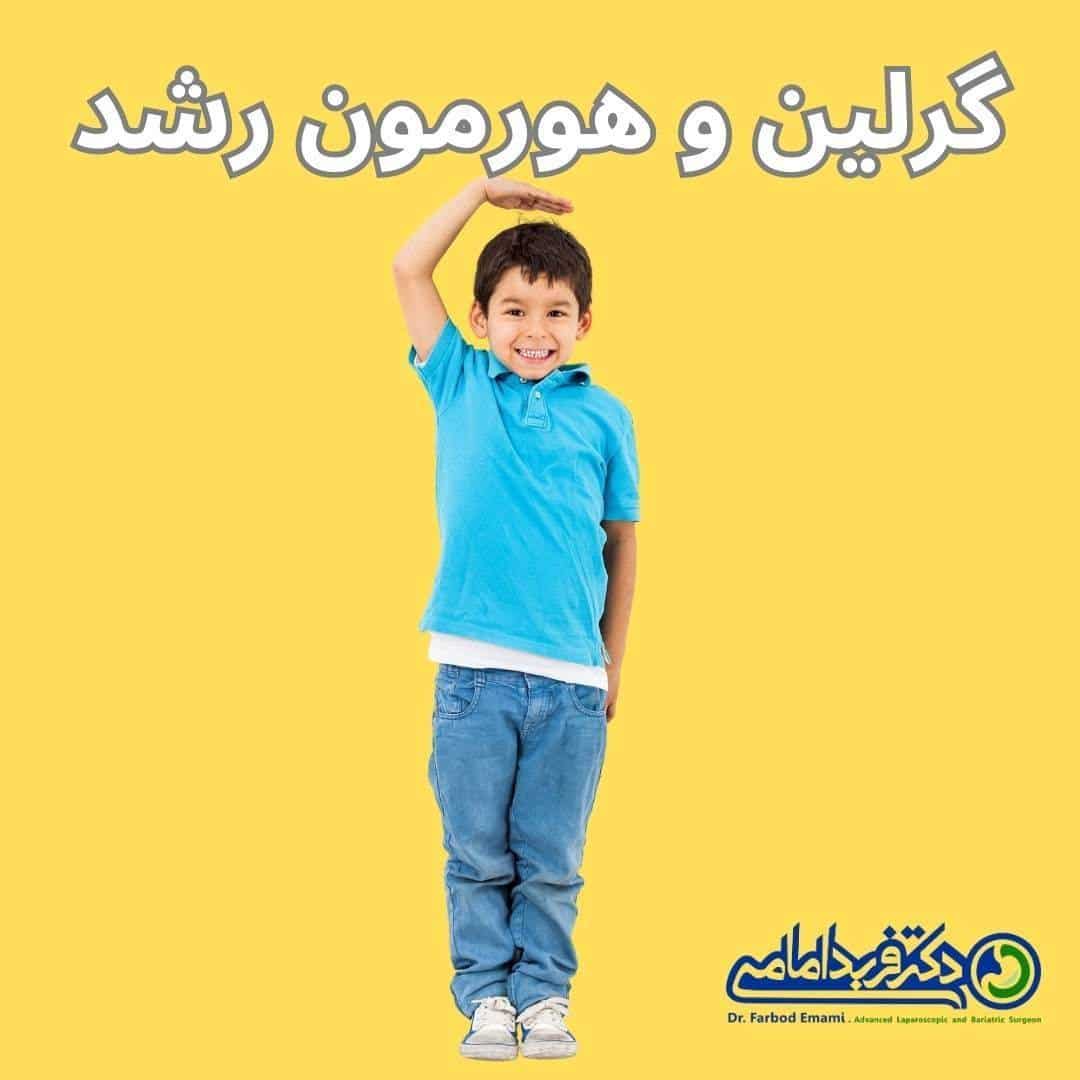 گرلین و هورمون رشد