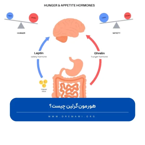 هورمون گرلین