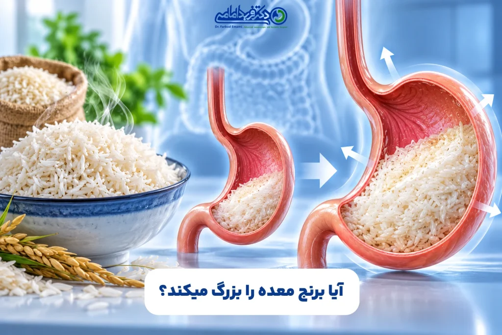 آیا برنج معده را بزرگ میکند؟