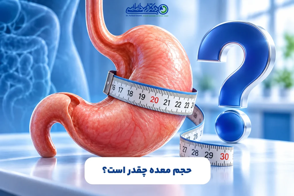 حجم معده چقدر است؟