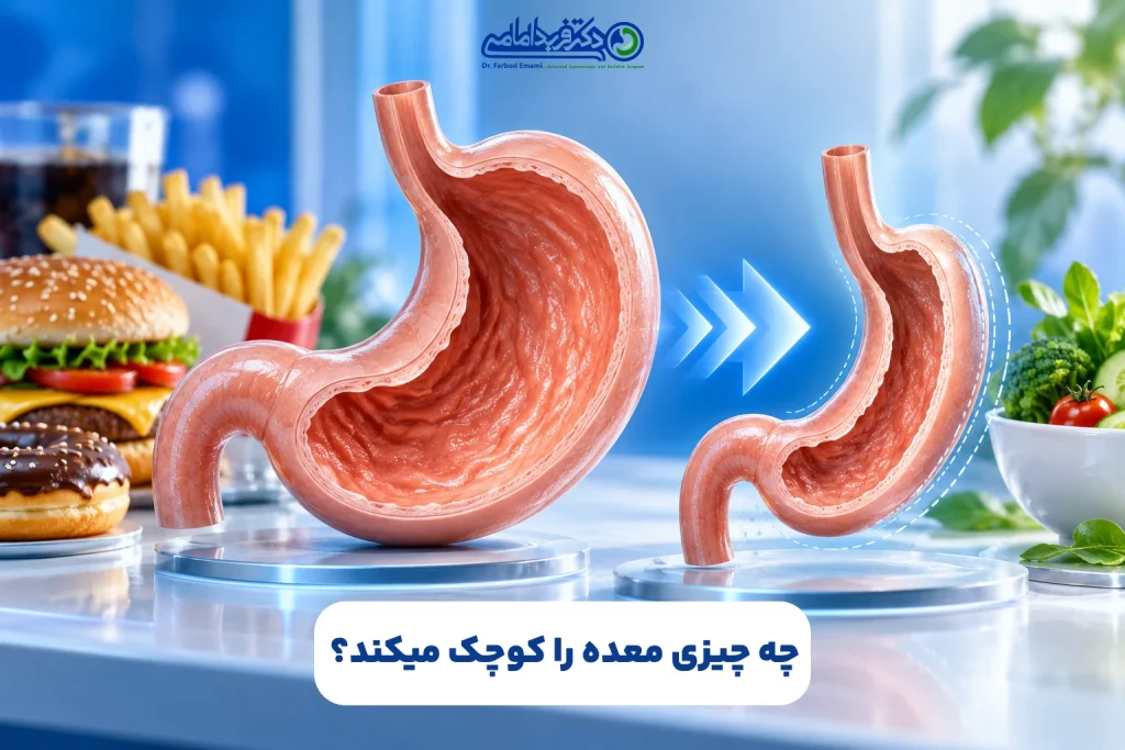 چه چیزی معده را کوچک می‌کند؟