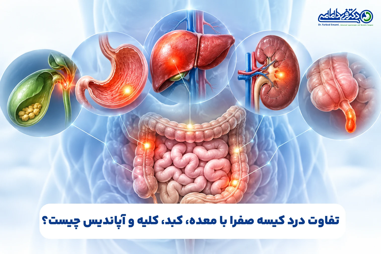تفاوت درد کیسه صفرا با معده، کبد، کلیه و آپاندیس چیست؟