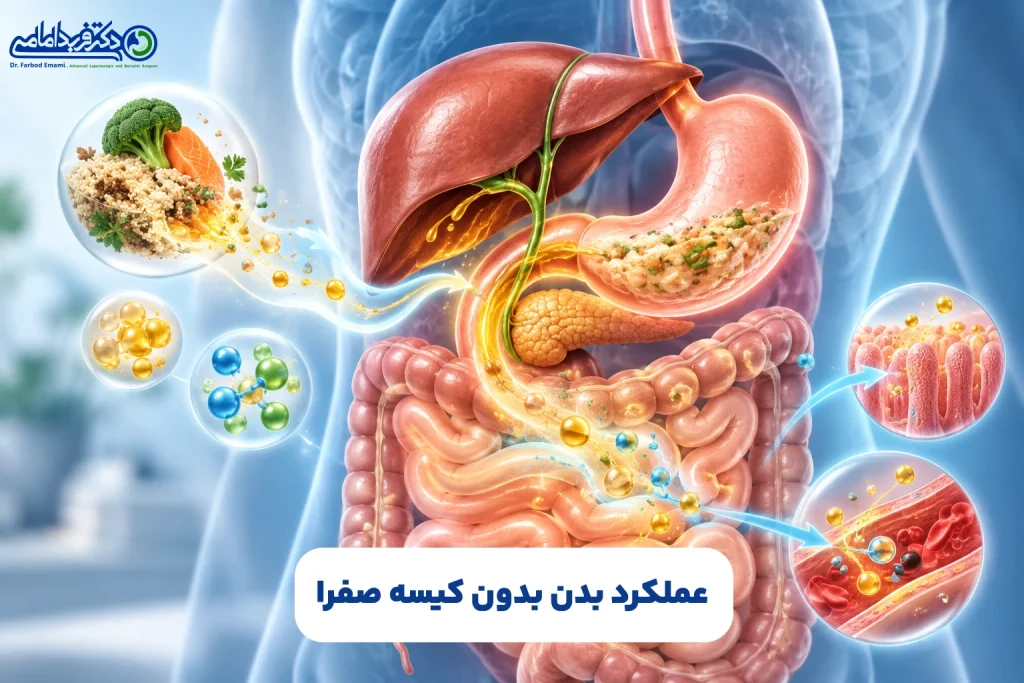 عملکرد بدن بدون کیسه صفرا